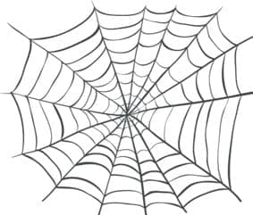 SpiderWeb DoctorB